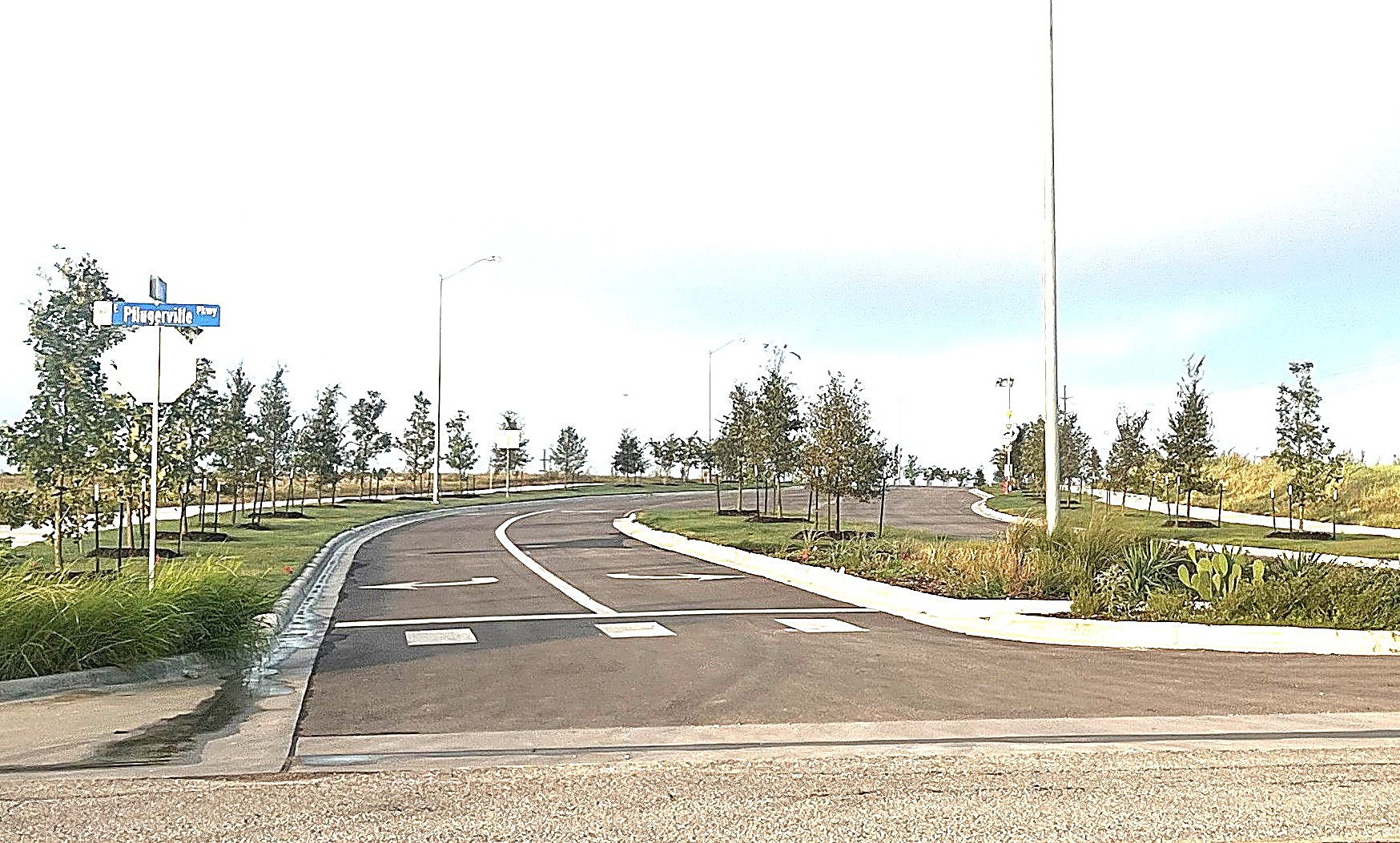 Landscape project