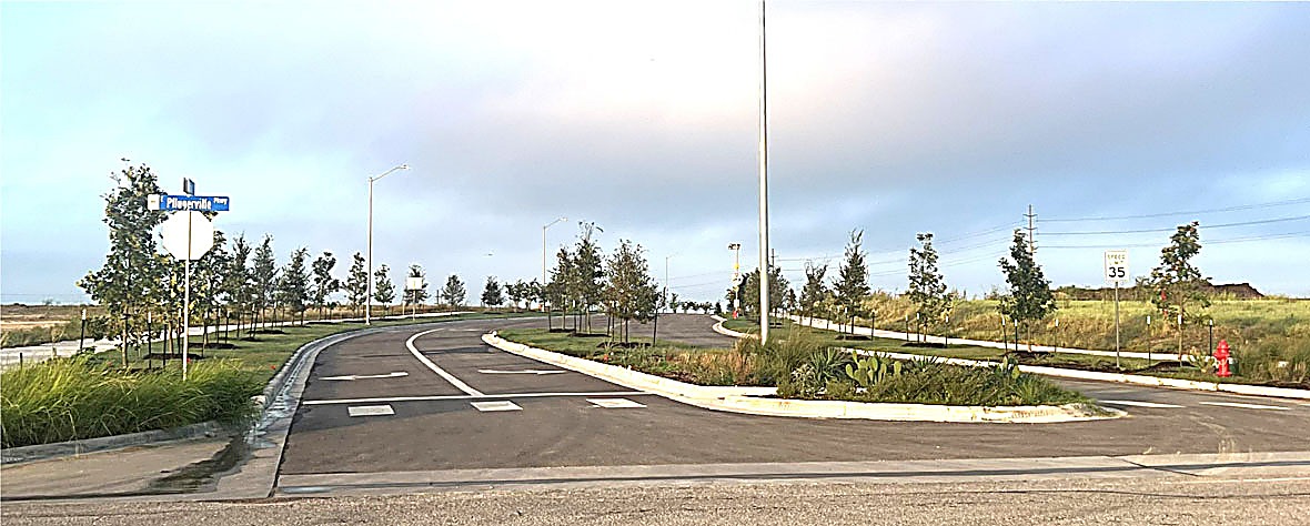 Streetscape project with tree-lined road