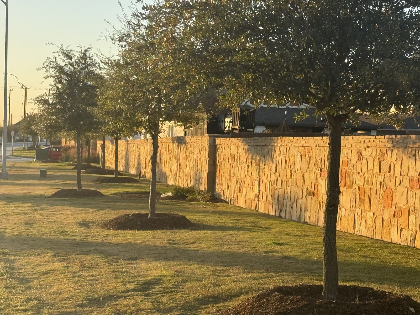 Concrete trail curving through site