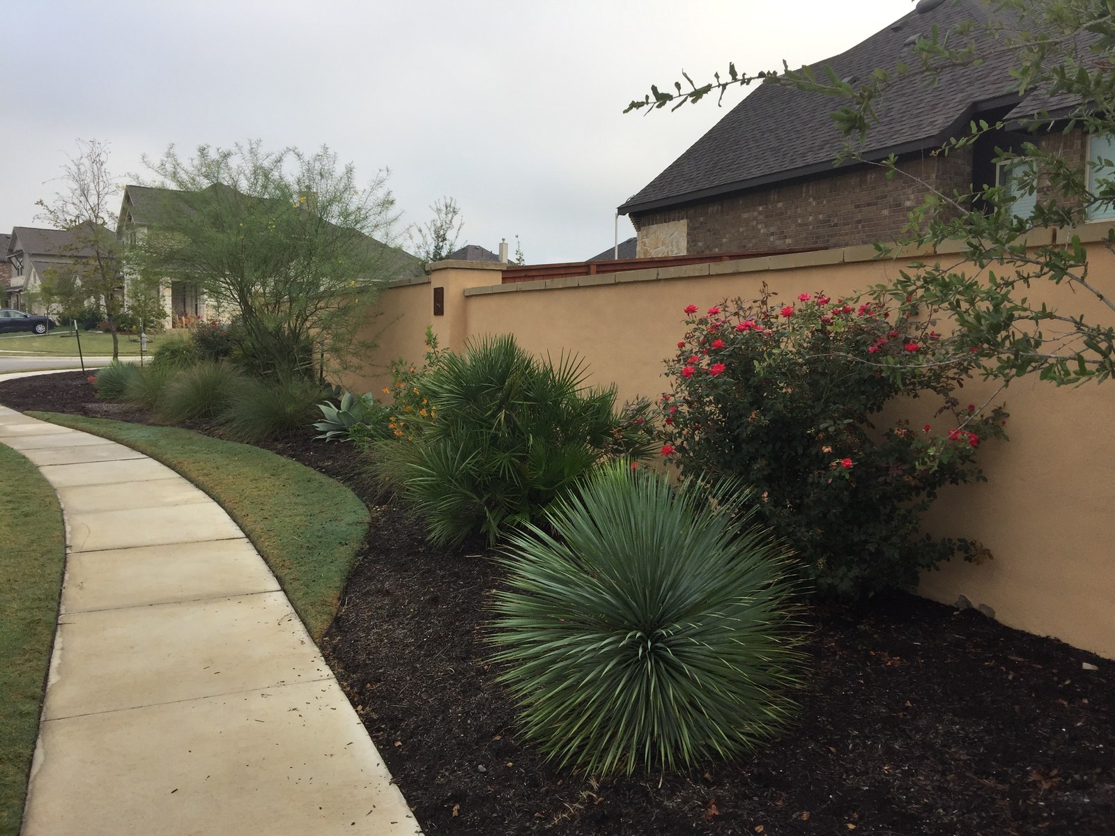 Concrete steps and trail construction