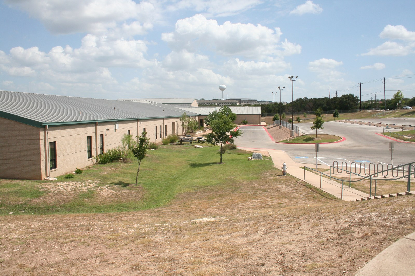 Large oak tree with walking path