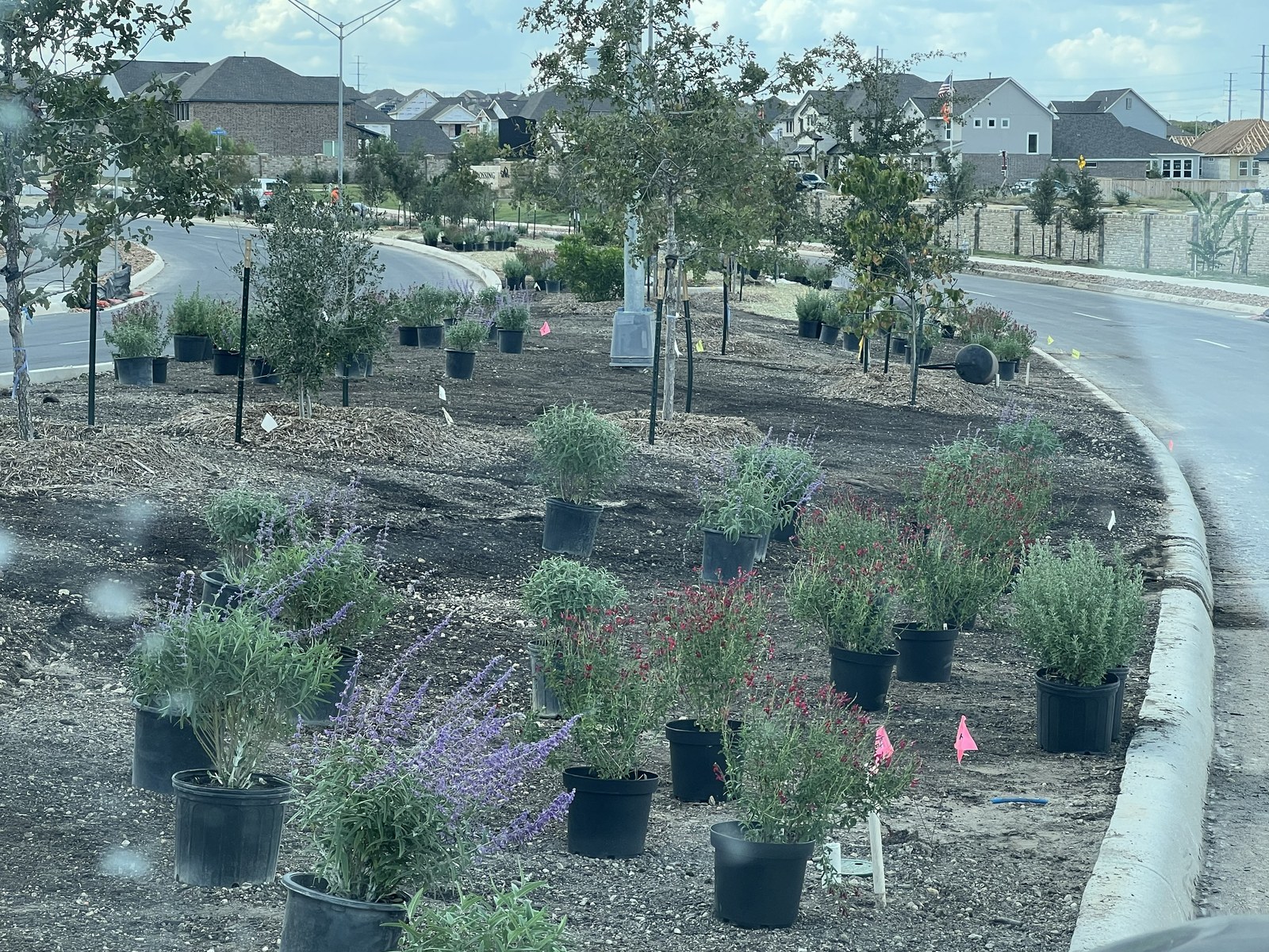 Streetscape project